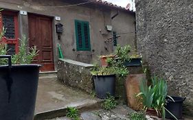 Bruni Apartments Arcidosso - Artu